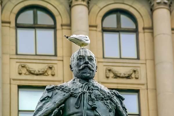 bird on a statue with pee & poop