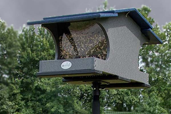 JCs Wildlife Large Poly Hopper Bird Feeder: Definitive 2024 Review