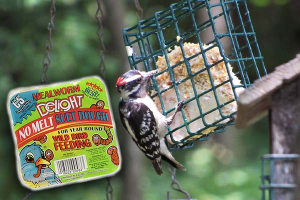 C&S Mealworm Delight No Melt Suet Dough