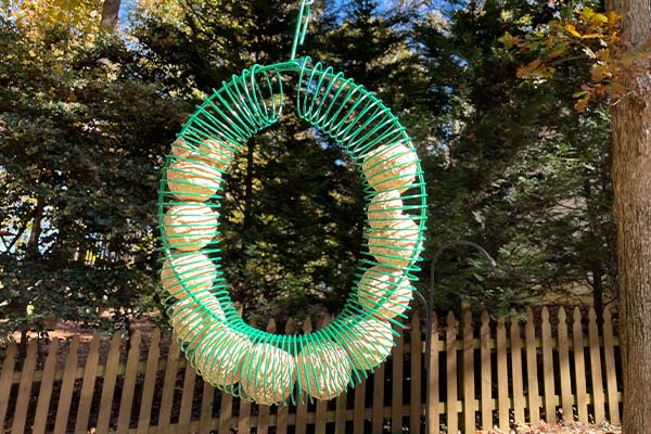 Pacific Bird And Supply Co Green Ring Suet Ball And Peanut Feeder