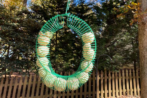 Pacific Bird & Supply Green Ring Suet Ball Bird Feeder 2024 Review