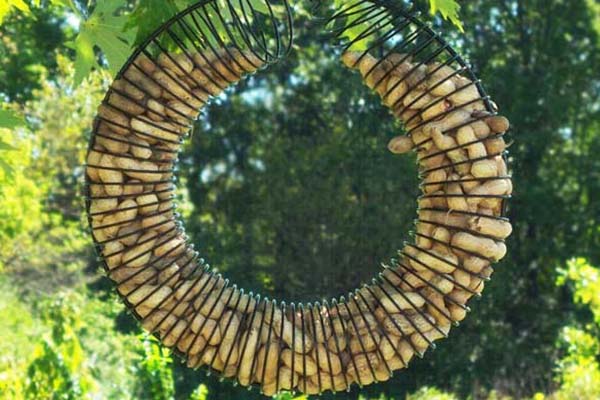 Songbird Essentials Whole Peanut Wreath Feeder