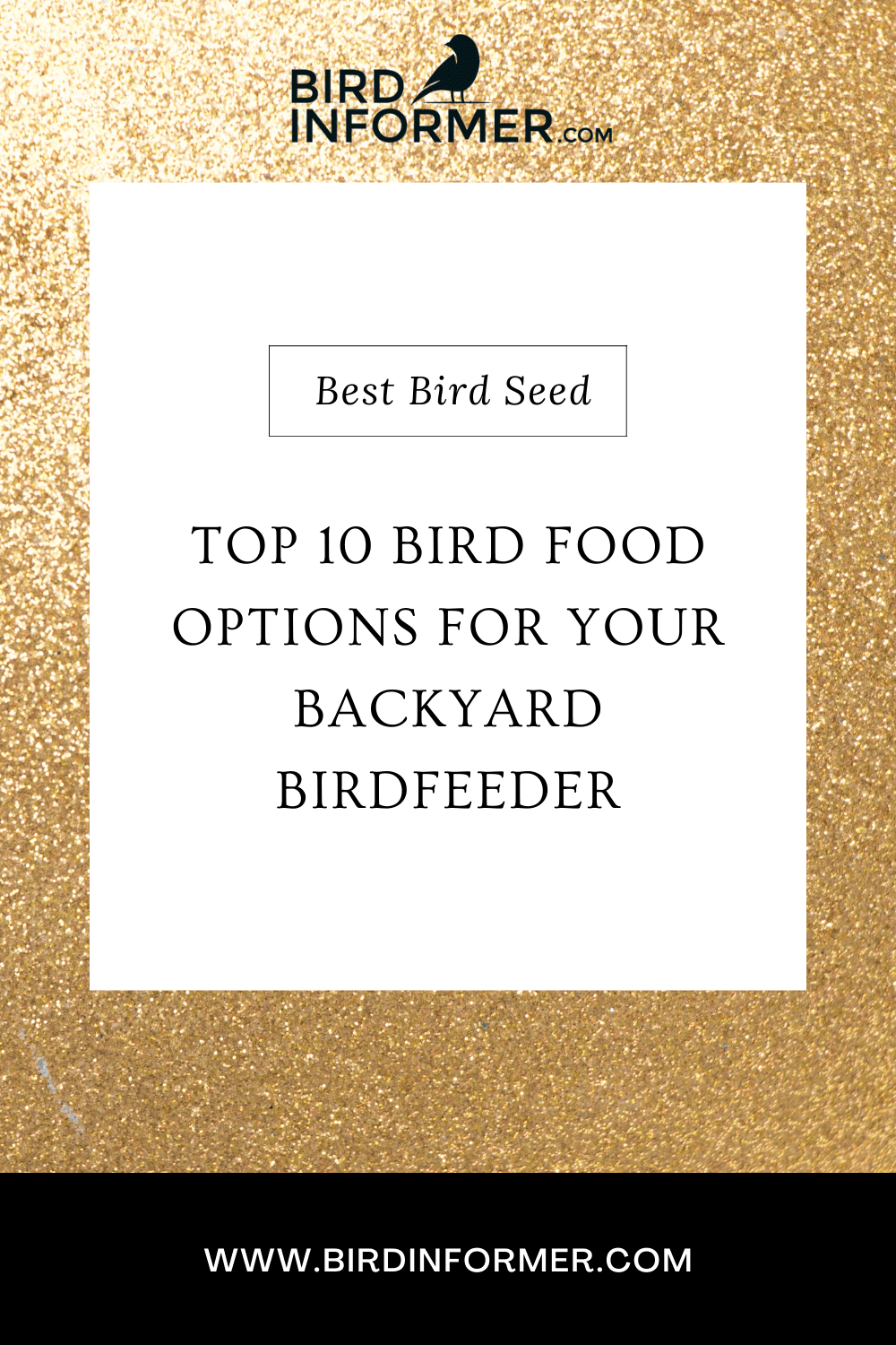 top 10 best bird seed