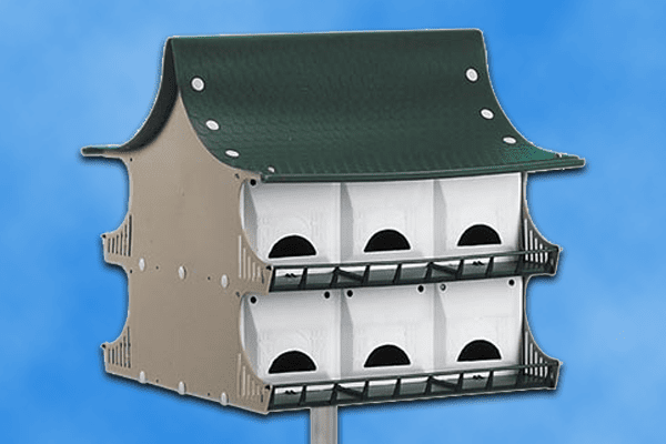 S&K 12 Room Purple Martin House Comprehensive 2023 Review