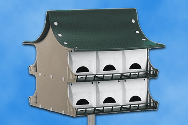 S&K 12 Room Purple Martin House Comprehensive 2024 Review