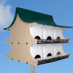 12-Room Purple Martin House