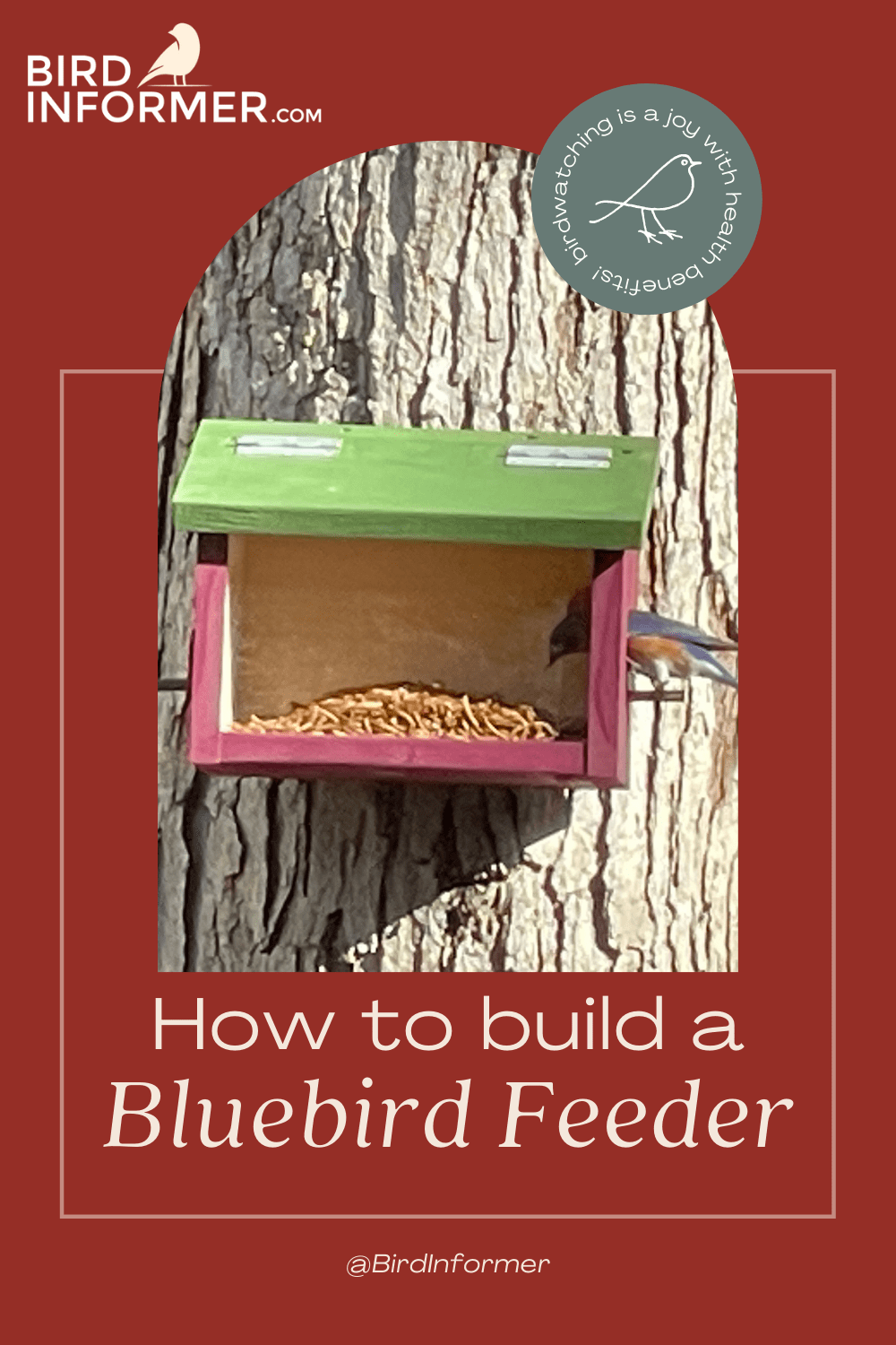 How To Build Bluebird Feeder