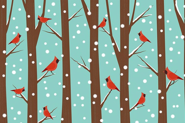 drawing of cardinals in winter and snow
