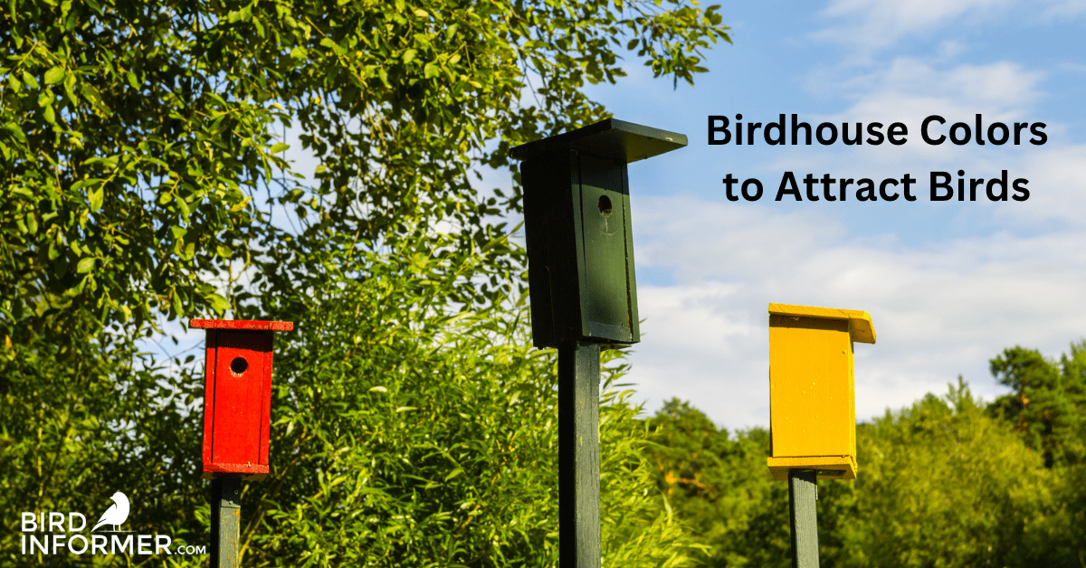 Nest Box Color Bird Informer nest-box-color-bird-informer