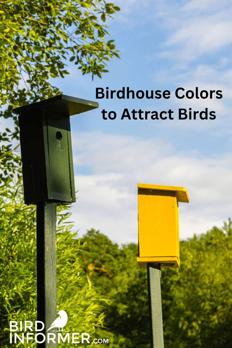 birdhouse colors PIN