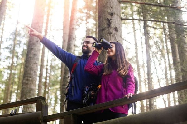 Birdwatching In The US