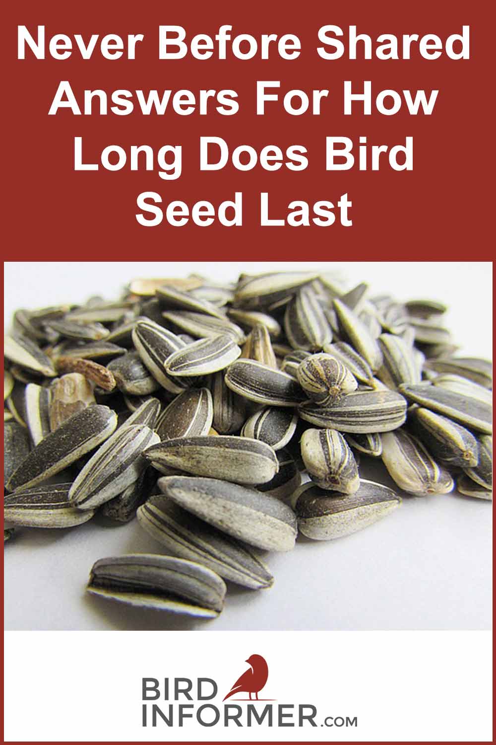 How Long Does Birdseed Last