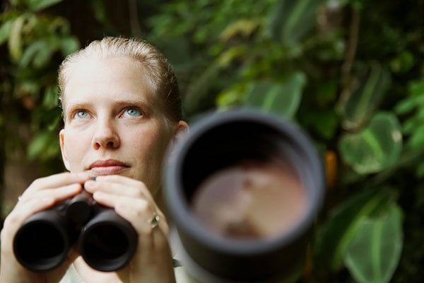 A person observing an owl from a safe distance