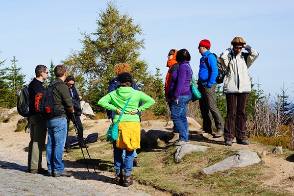 birders discussing their observations