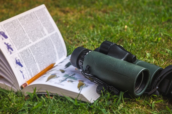 birding binoculars and bird book