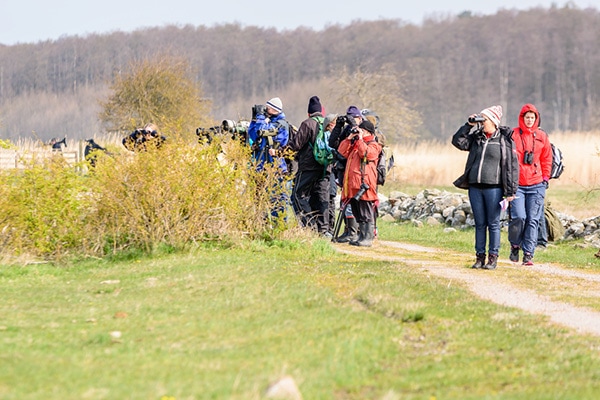 group of beginner birders