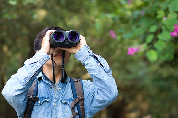 person observing birds with binoculars